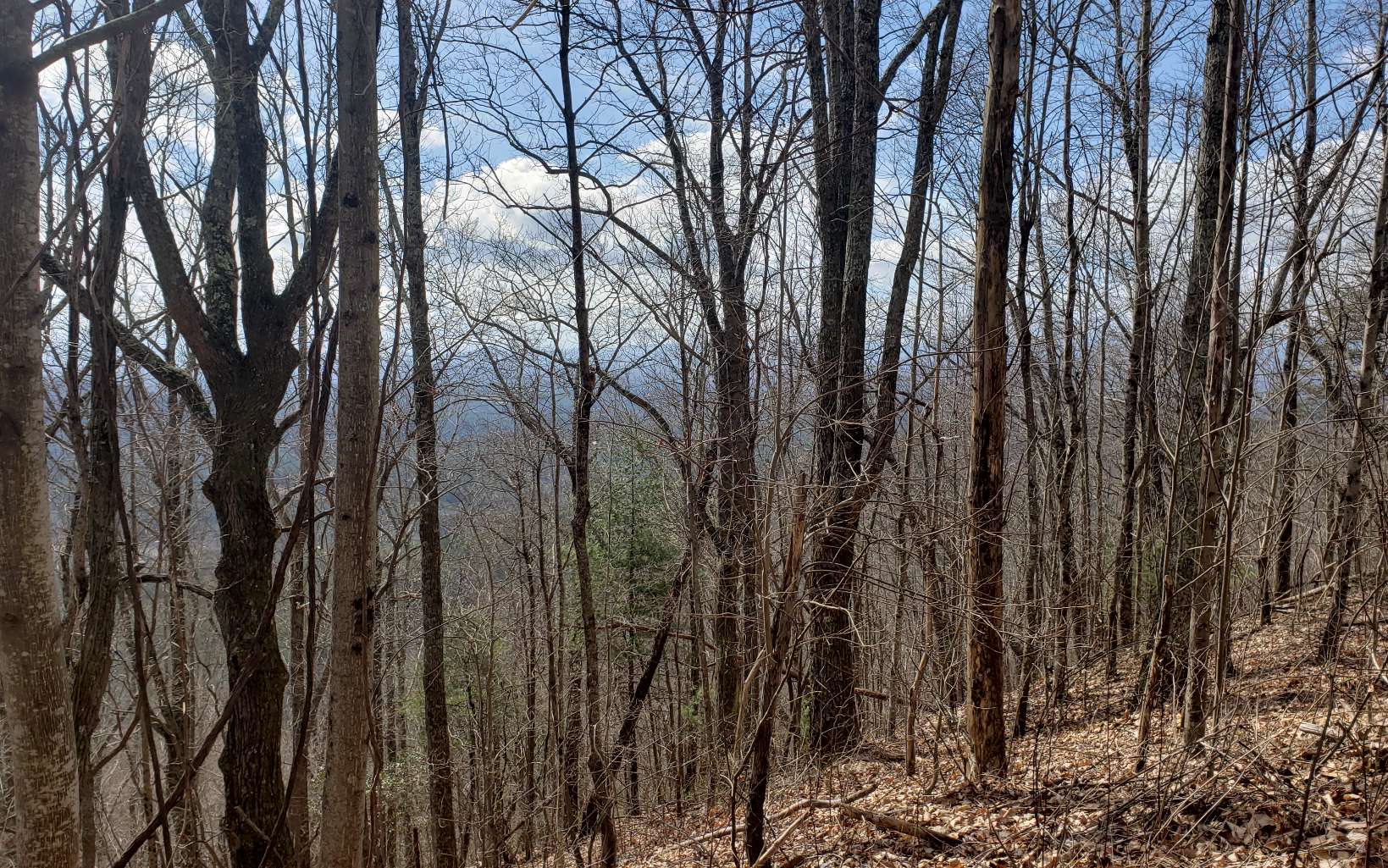 LT 35 Calvender Road