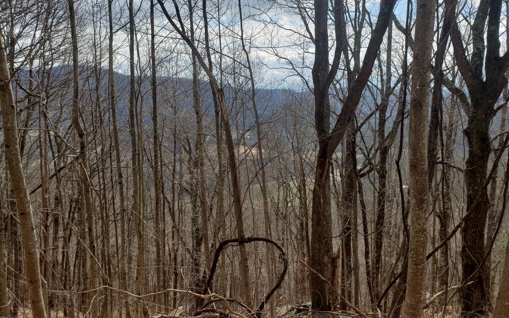 LT 35 Calvender Road