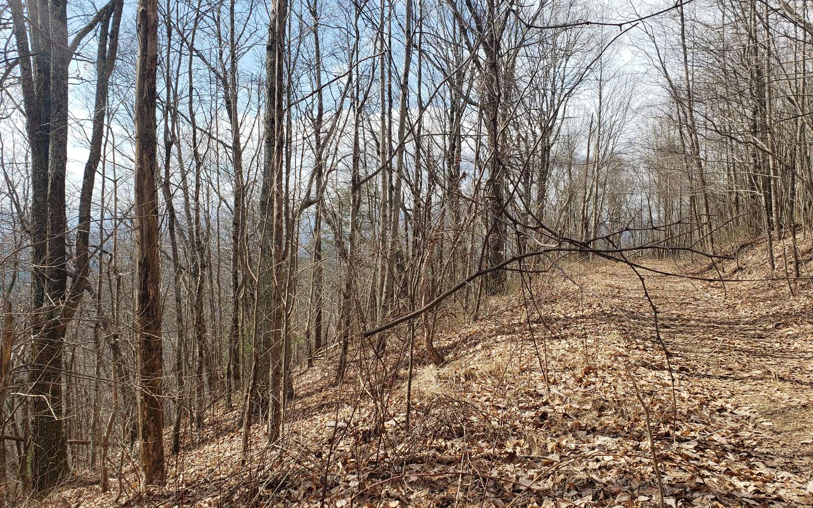 LT 35 Calvender Road