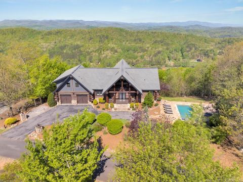 539 Deer Crest Overlook Blue Ridge GA 30513