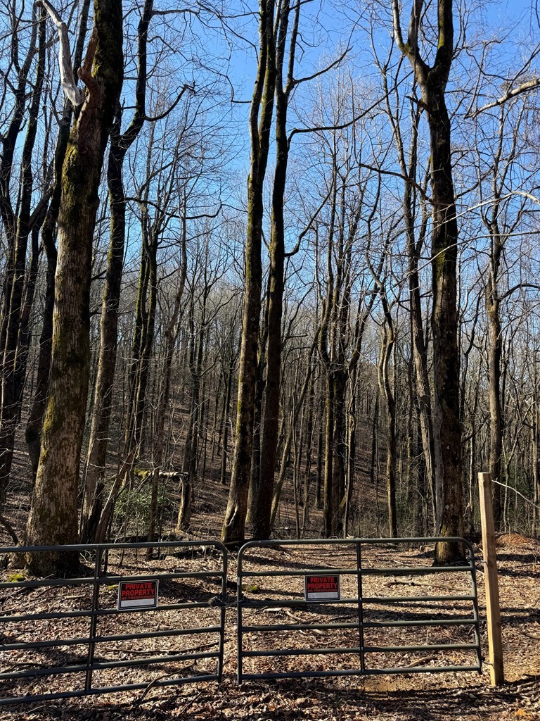 6180 Burnt Mountain Road