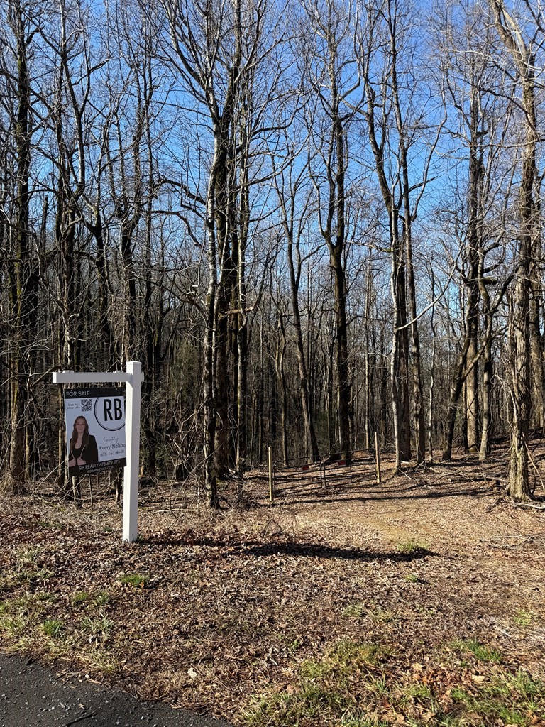 6180 Burnt Mountain Road