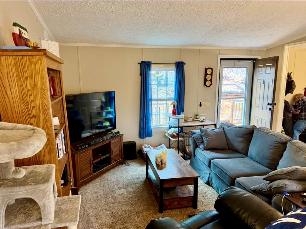 424 Mountain Oak Trail