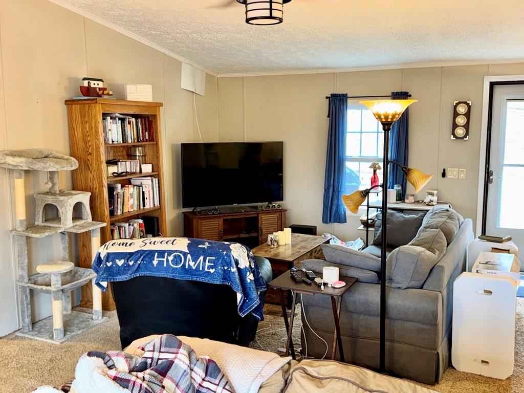 424 Mountain Oak Trail