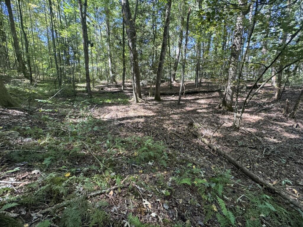 Lot 5 Mossy Hill Court