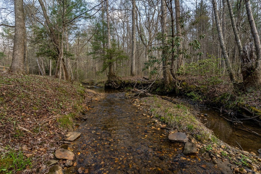 1132 Hells Hollow Road