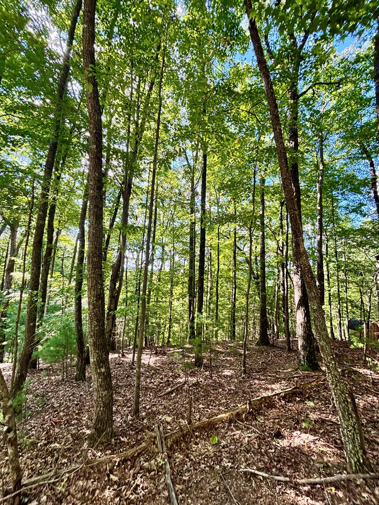 0.55 AC Pine Ridge Road