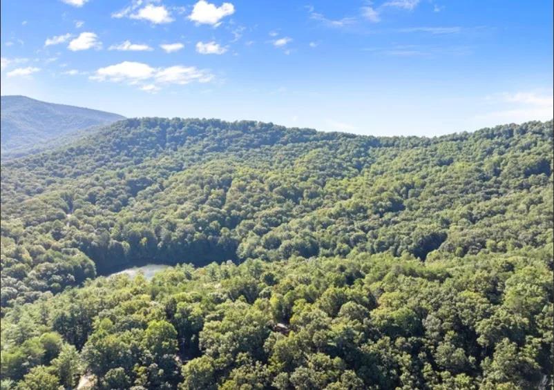 0.55 AC Pine Ridge Road