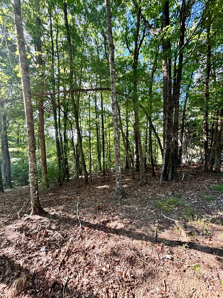 0.55 AC Pine Ridge Road