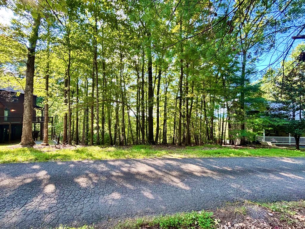 0.55 AC Pine Ridge Road