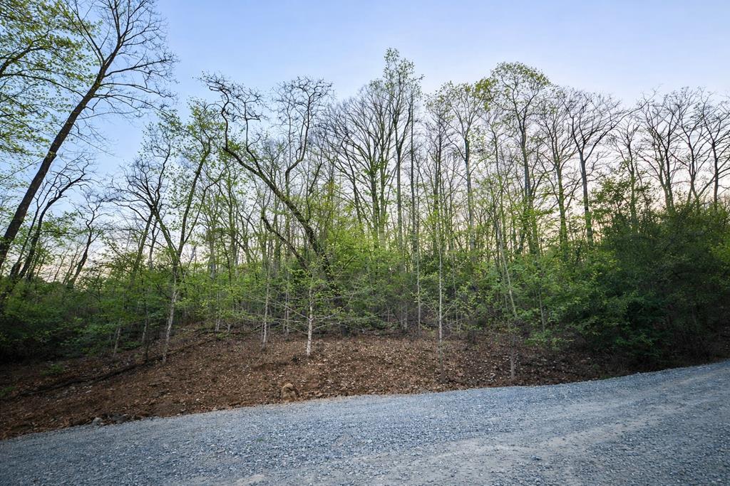 Lot 5 Riverbend Manor