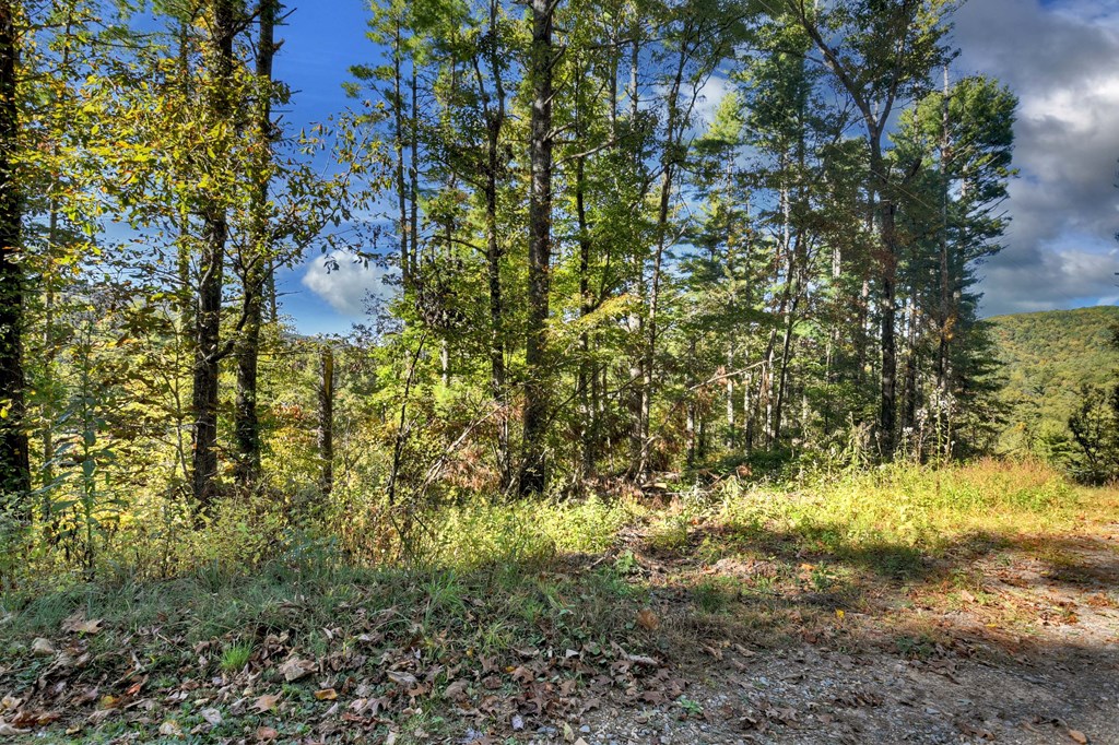 1.9 AC Bell Camp Ridge Rd