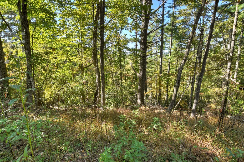 1.9 AC Bell Camp Ridge Rd