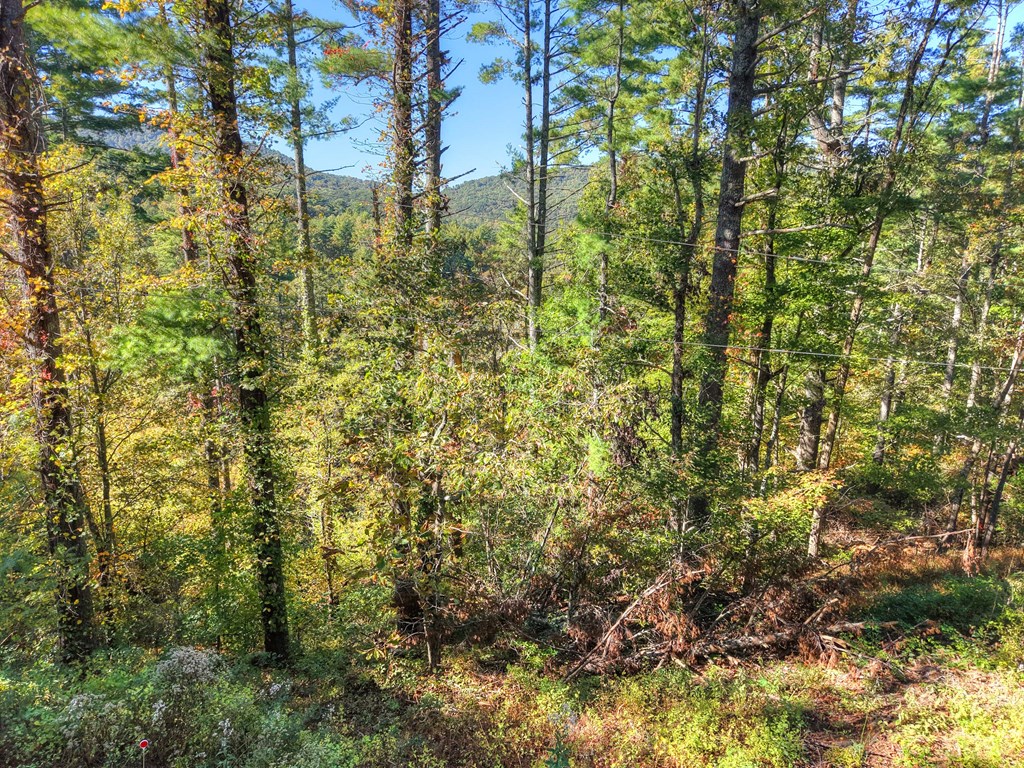 1.9 AC Bell Camp Ridge Rd