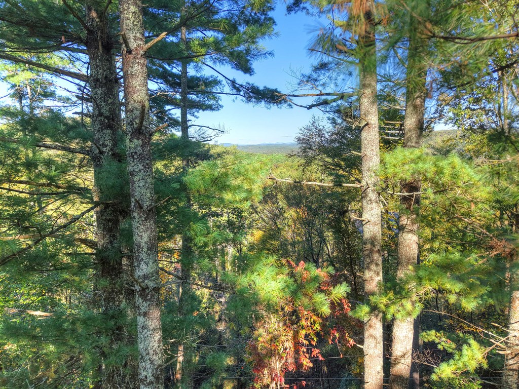 1.9 AC Bell Camp Ridge Rd