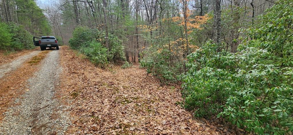 Lot 18 Gray Fox Trail