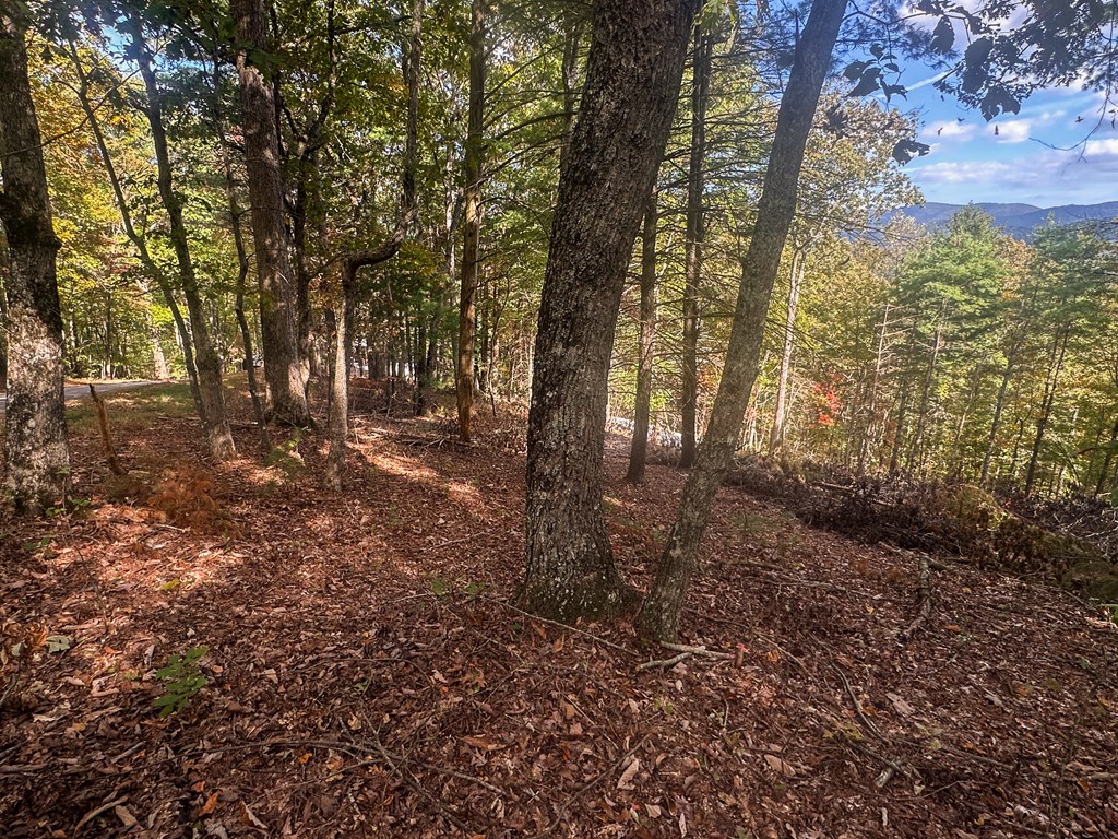 Lot 11 Self Mountain Road