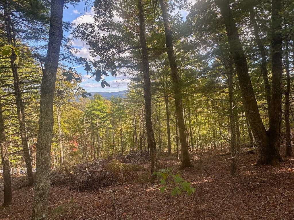 Lot 11 Self Mountain Road