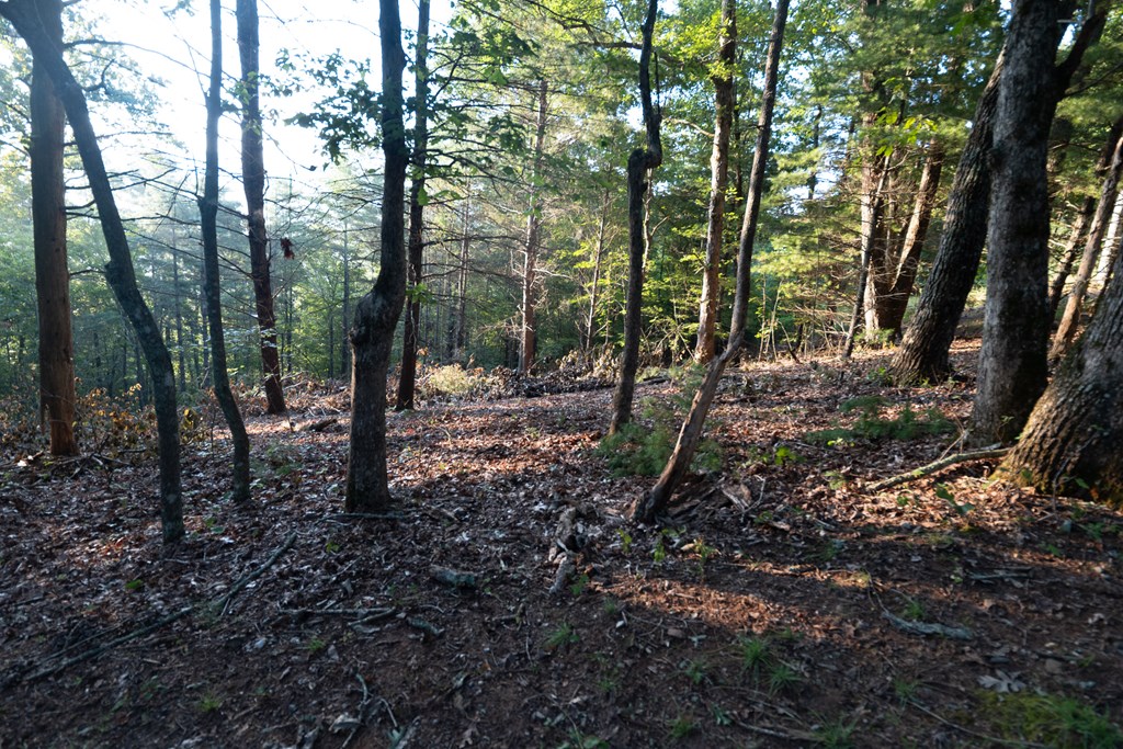 Lot 11 Self Mountain Road