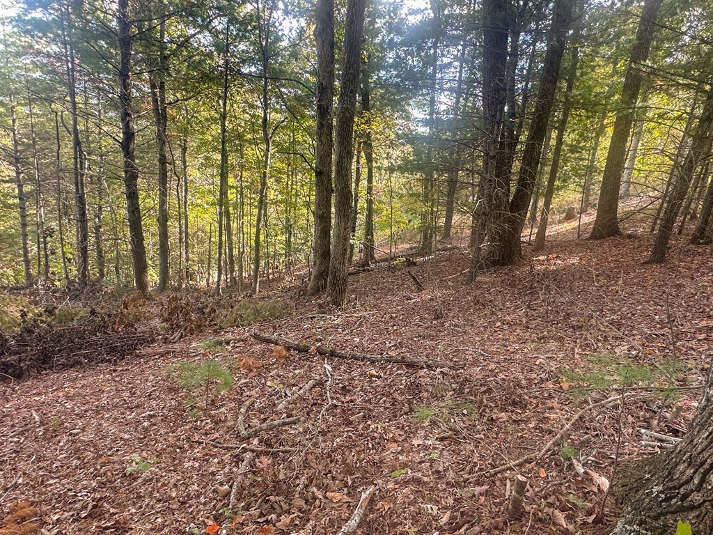 Lot 11 Self Mountain Road