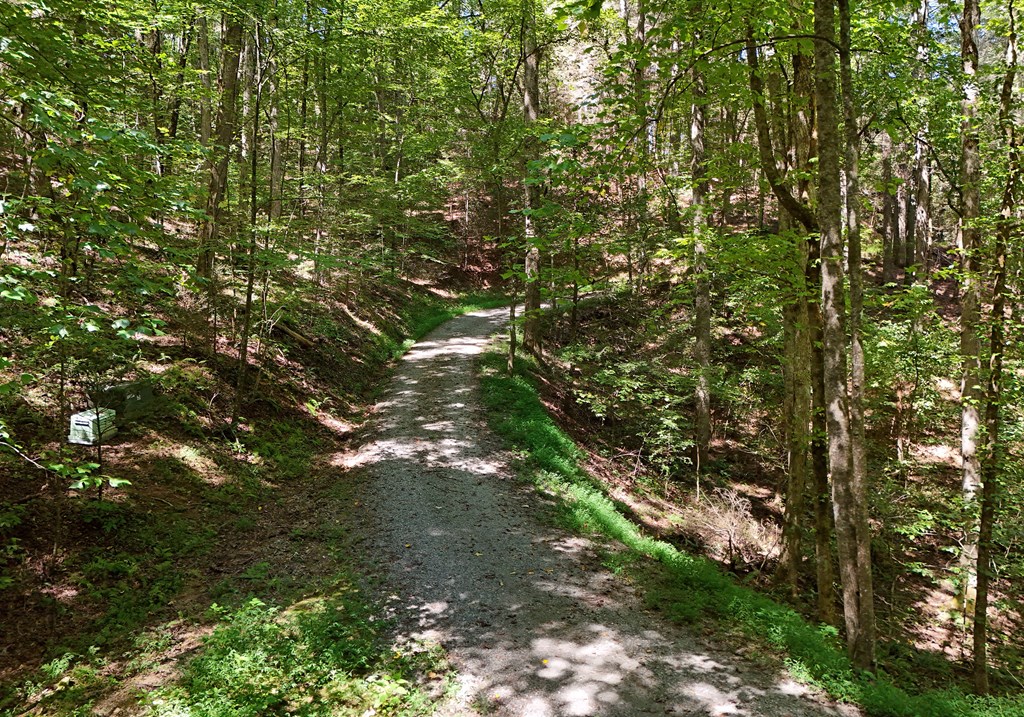 12.22ac Kells Ridge Court