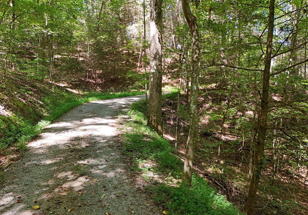 12.22ac Kells Ridge Court