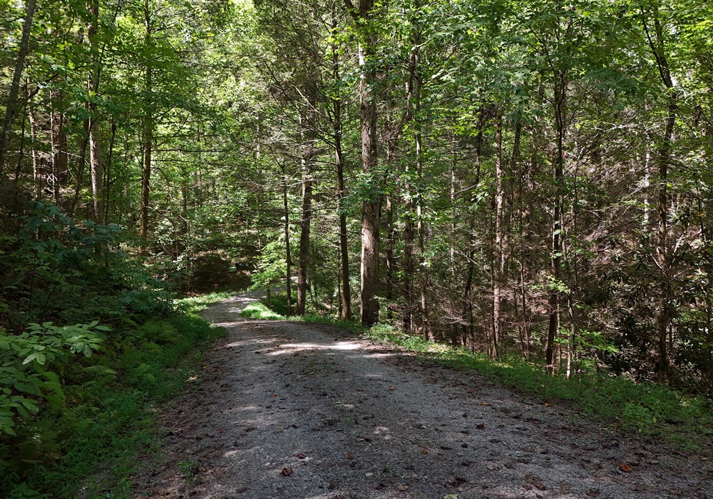 12.22ac Kells Ridge Court