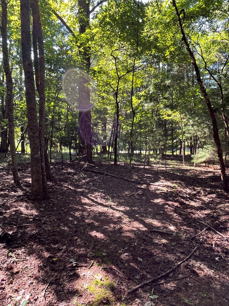 Lot 17 Hidden Branch Drive