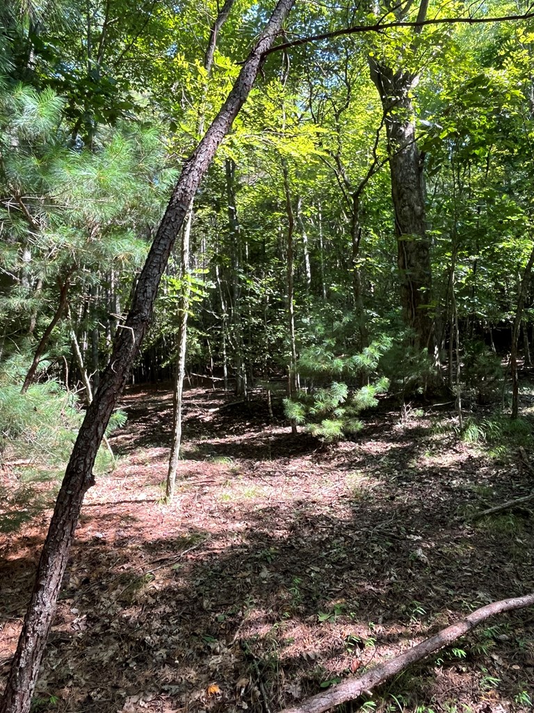 Lot 17 Hidden Branch Drive