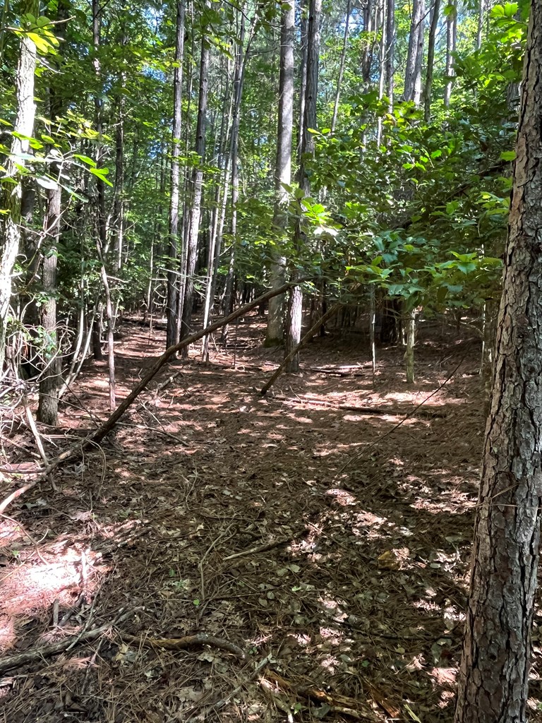 Lot 17 Hidden Branch Drive