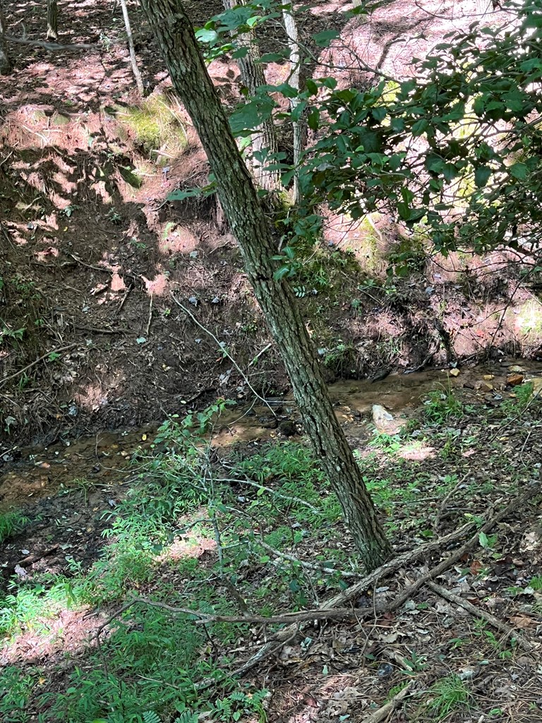 Lot 17 Hidden Branch Drive