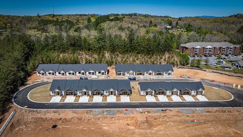 Unit 32 Grove Loop Blue Ridge GA 30513