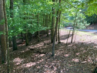 Lt 1871 Newport Drive