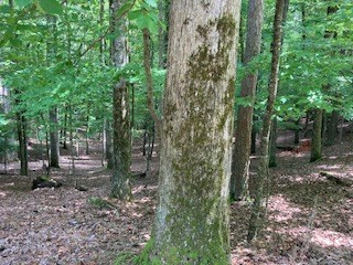 Lt 1871 Newport Drive