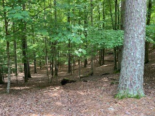 Lt 1871 Newport Drive