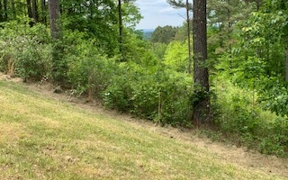 LT 21 Loftis Mountain Road