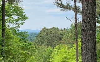 LT 21 Loftis Mountain Road