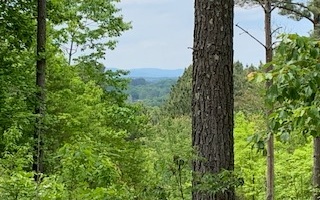 LT 21 Loftis Mountain Road