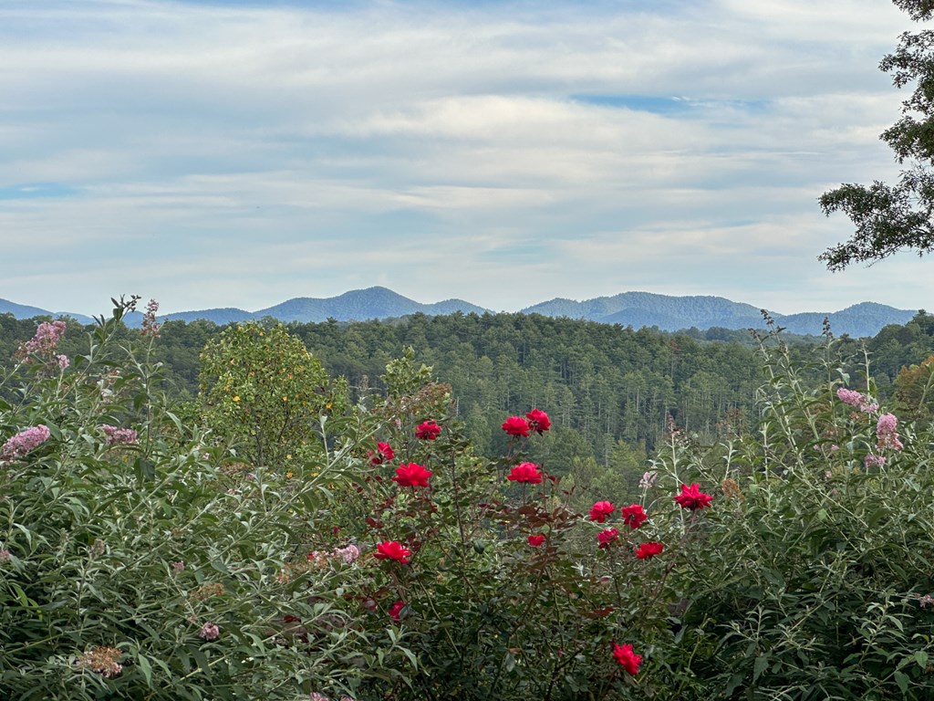 101 Toccoa Vista Lane