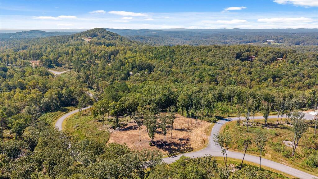 Lot 87 Twisted Oak Trail