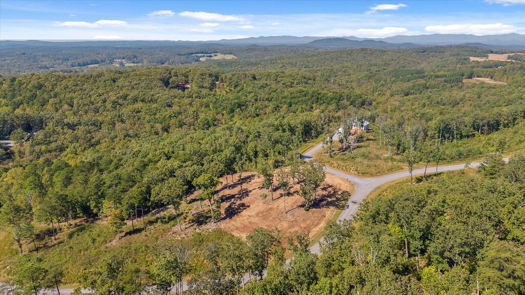 Lot 87 Twisted Oak Trail
