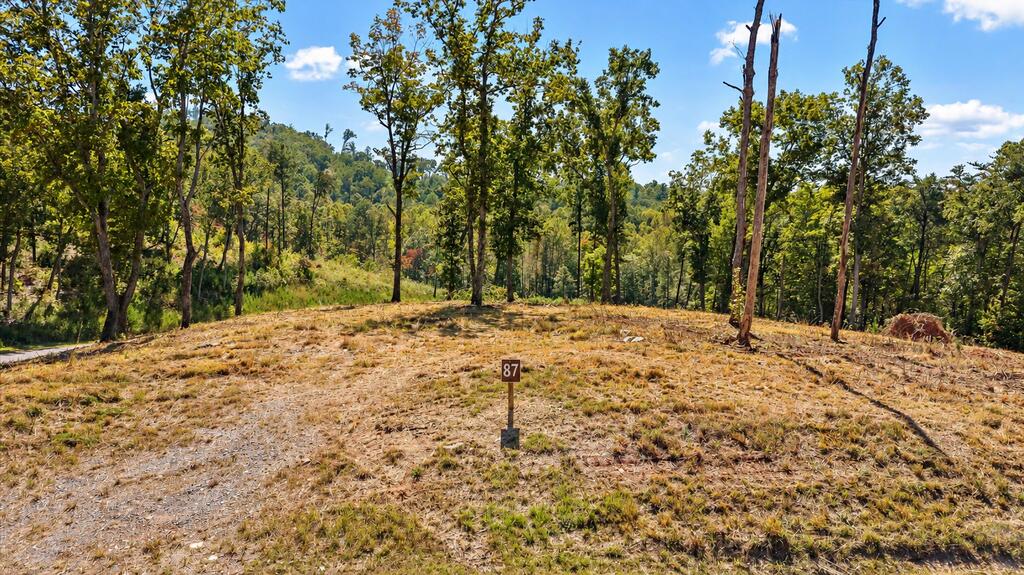 Lot 87 Twisted Oak Trail