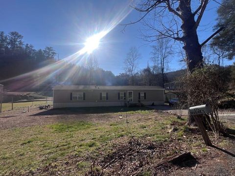 171 Tyler Rd Ellijay GA 30540