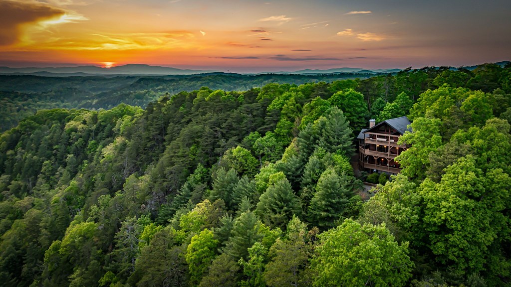 147 Little Bluff Trail