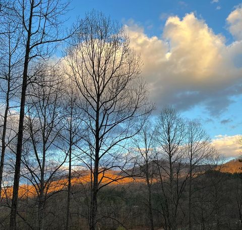 A home in Hayesville