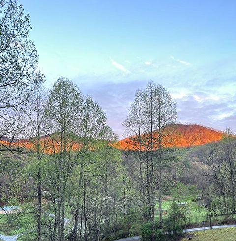 A home in Hayesville