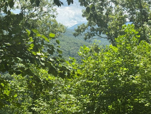 IVY LN, HIAWASSEE, GA 30546 - Image bb4849cdfeecd836df2409660cf6d6a3/579684773