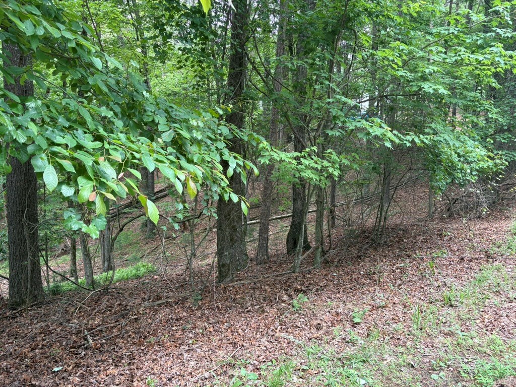 LOT 153 Etowah Drive