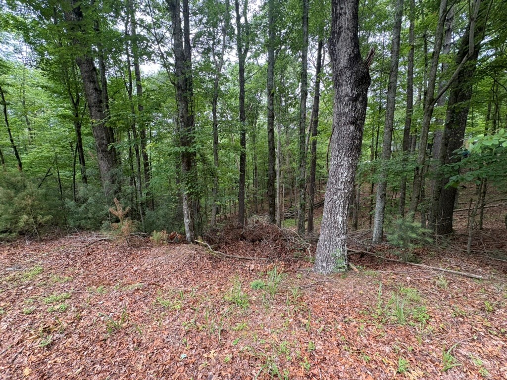 LOT 153 Etowah Drive