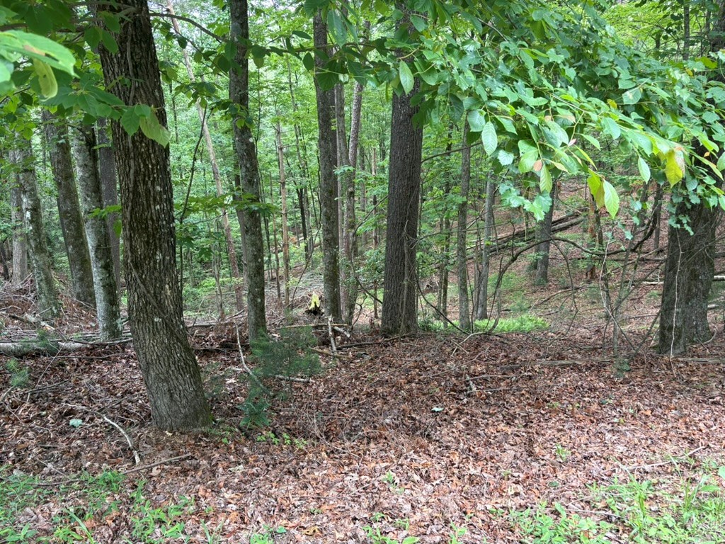 LOT 153 Etowah Drive